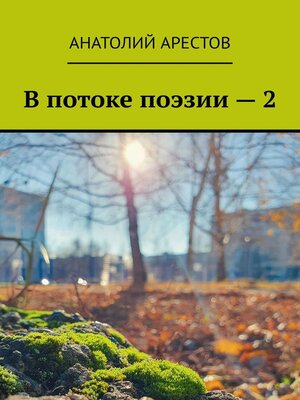 cover image of В потоке поэзии – 2